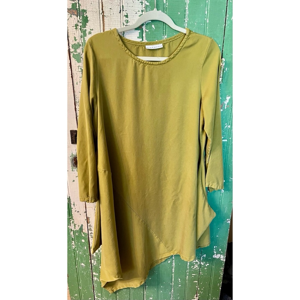 Bryn Walker Asymmetric Tunic Top Size Small